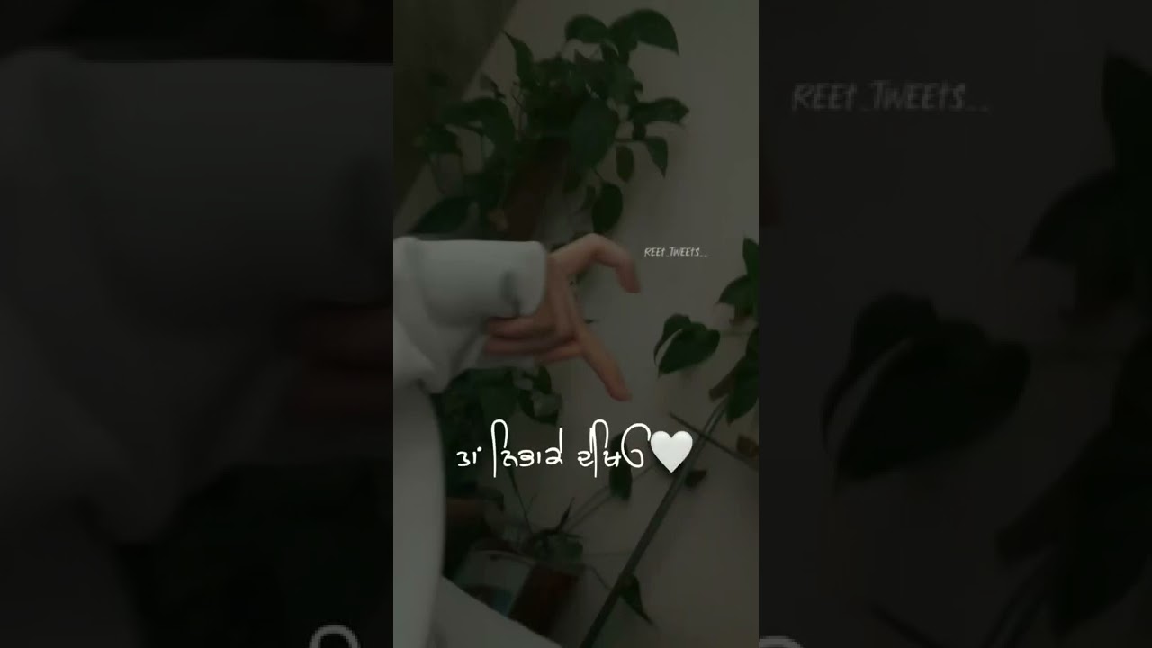 reet tweets#insta reels#punjabi reels#whatsapp status#punjabi couple